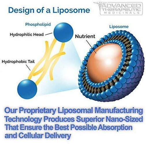 Advanced Liposomal Glutathione Supplement | 4 oz 500mg | Organic Nano Glutathione Liposomal Liquid | L-Glutathione Reduced Liposomes by Advanced Therapeutic Medicinals - No Soy, Non GMO, Vegan, USA