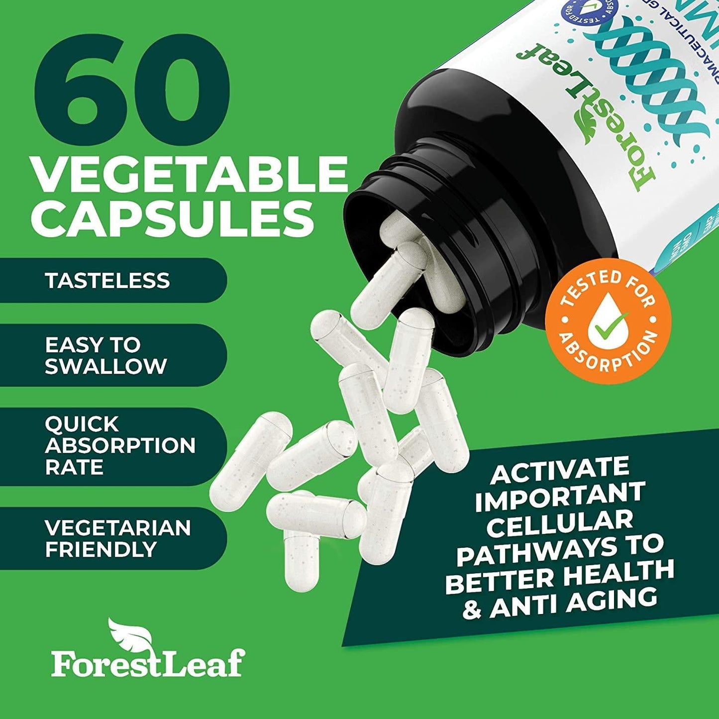 Advanced NMN Nicotinamide Mononucleotide - NAD+ Levels, Anti Aging, Health and Longevity Supplement - Brain, Energy, Cell and Metabolic Function - 60 Capsules - ForestLeaf