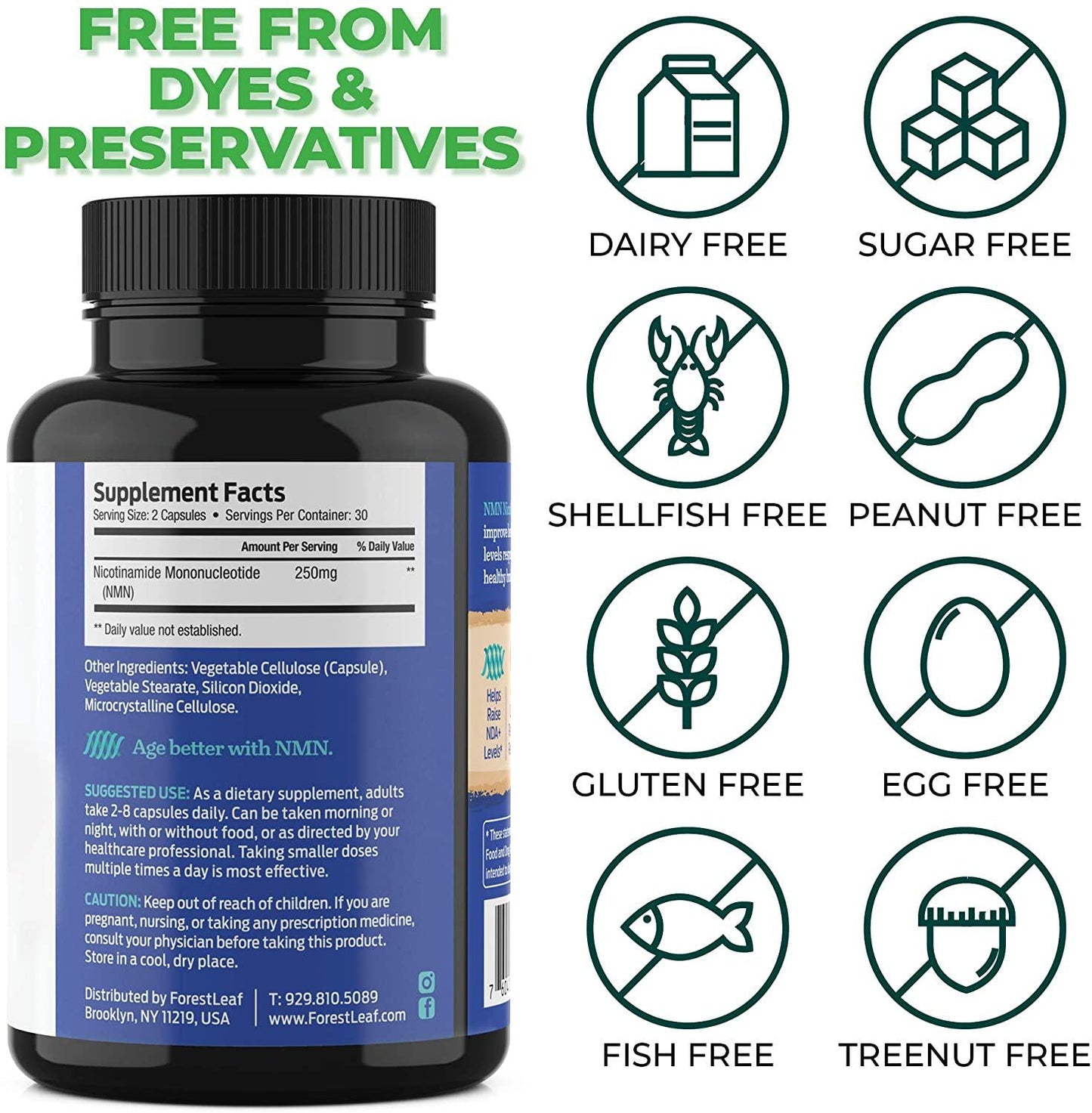 Advanced NMN Nicotinamide Mononucleotide - NAD+ Levels, Anti Aging, Health and Longevity Supplement - Brain, Energy, Cell and Metabolic Function - 60 Capsules - ForestLeaf