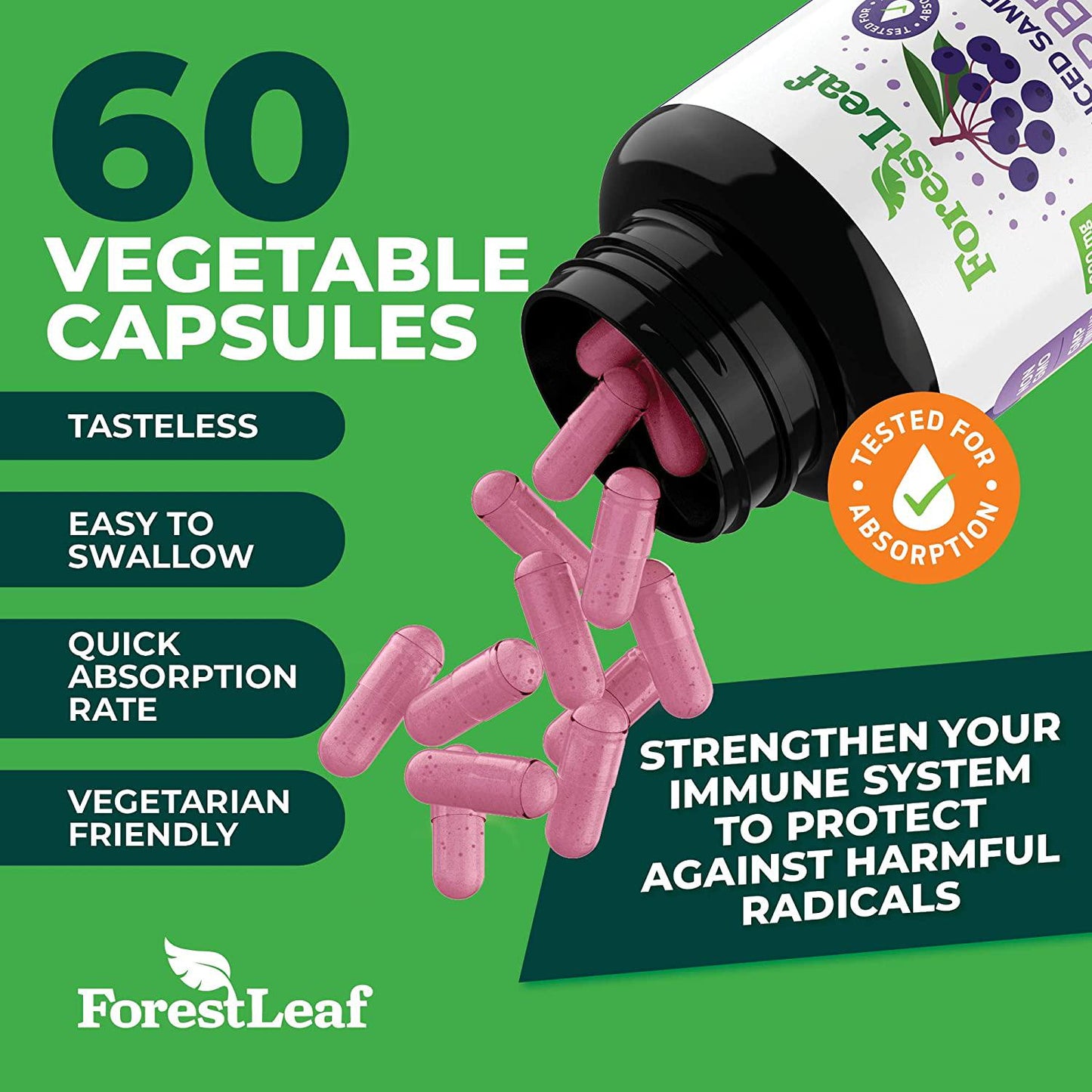 Advanced Sambucus Elderberry Immune Booster with Zinc and Vitamin C - Black Elderberry Fruit Extract Supplement - Immunity Support for Adults and Children - 60 Vegetarian Capsules