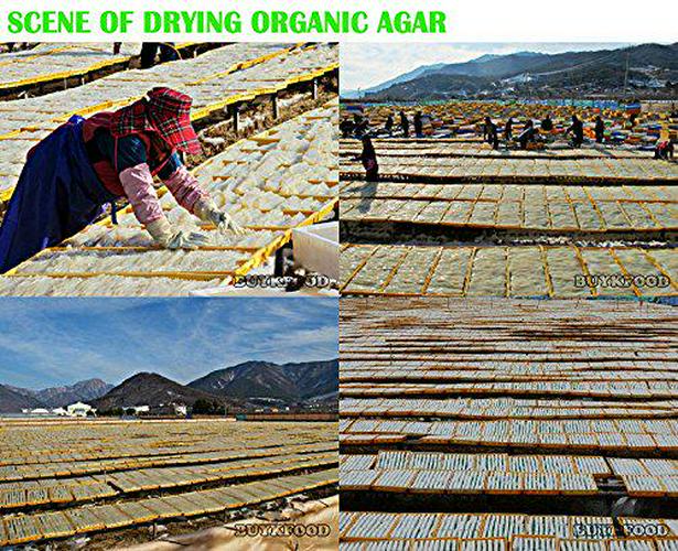 Agar Powder 100g(3.53oz) Vegetable Gelatin Dietary Fiber