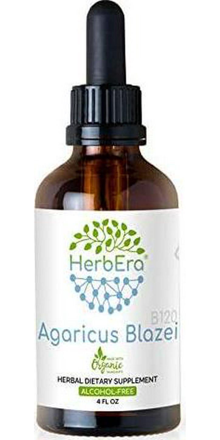 Agaricus Blazei B120 Alcohol-Free Herbal Extract Tincture, Organic Agaricus Blazei (Agaricus blazei murill) Dried Mushroom (4 fl oz)