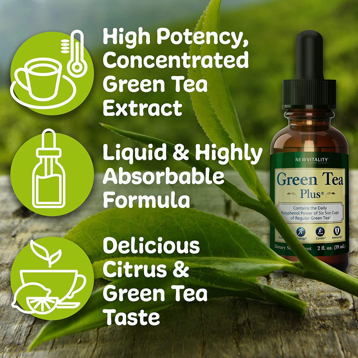 Ageless Male Max Total Testosterone Booster and Green Tea Plus Superfood - Boost Total Testosterone and Support Energy and Overall Health with Concentrated Green Tea Extract