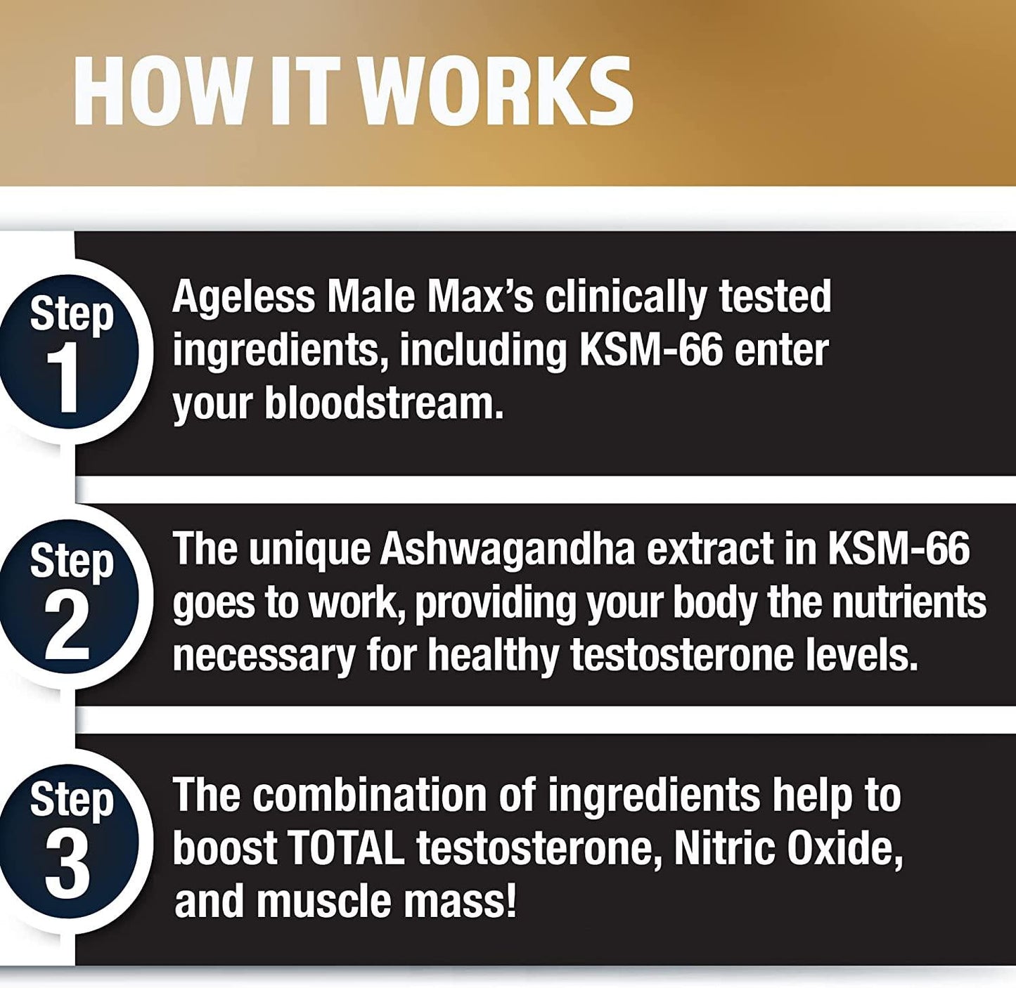 Ageless Male Max Total Testosterone Booster for Men Reduce Fat Faster Than Exercise Alone and Increase Nitric Oxide with Powerful, Safe Total Test Booster (60 Caplets, 1-Bottle)