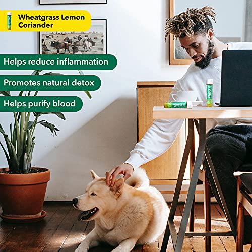 Akiva Love Wheatgrass Juice Shots with Lemon Coriander (Pack of 30) | Feel Fresh with Green Cleanse | Full Body Detox | Natural, Ayurvedic, Ready To Drink