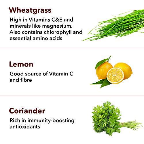 Akiva Love Wheatgrass Juice Shots with Lemon Coriander (Pack of 30) | Feel Fresh with Green Cleanse | Full Body Detox | Natural, Ayurvedic, Ready To Drink