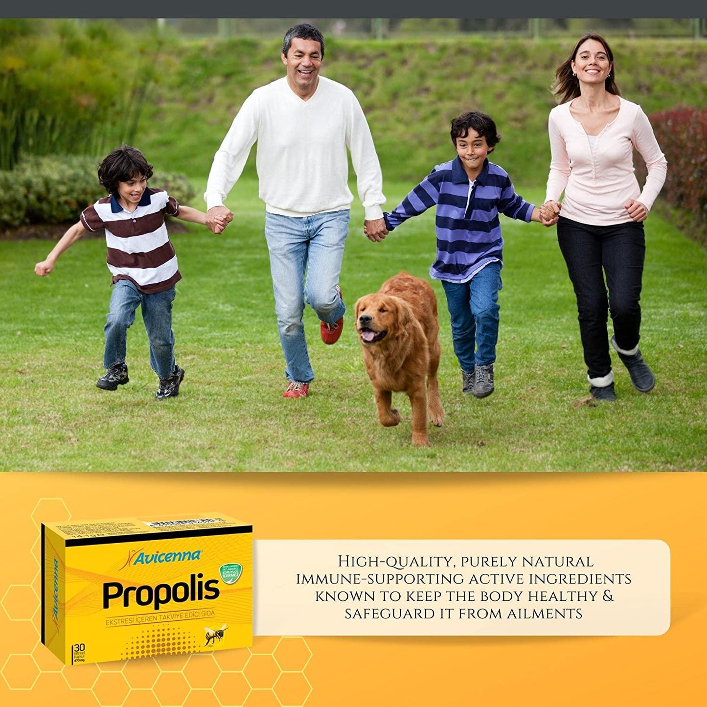 Aksu Vital Avicenna Bee Propolis Supplement, 470mg 30 Vegan Capsules