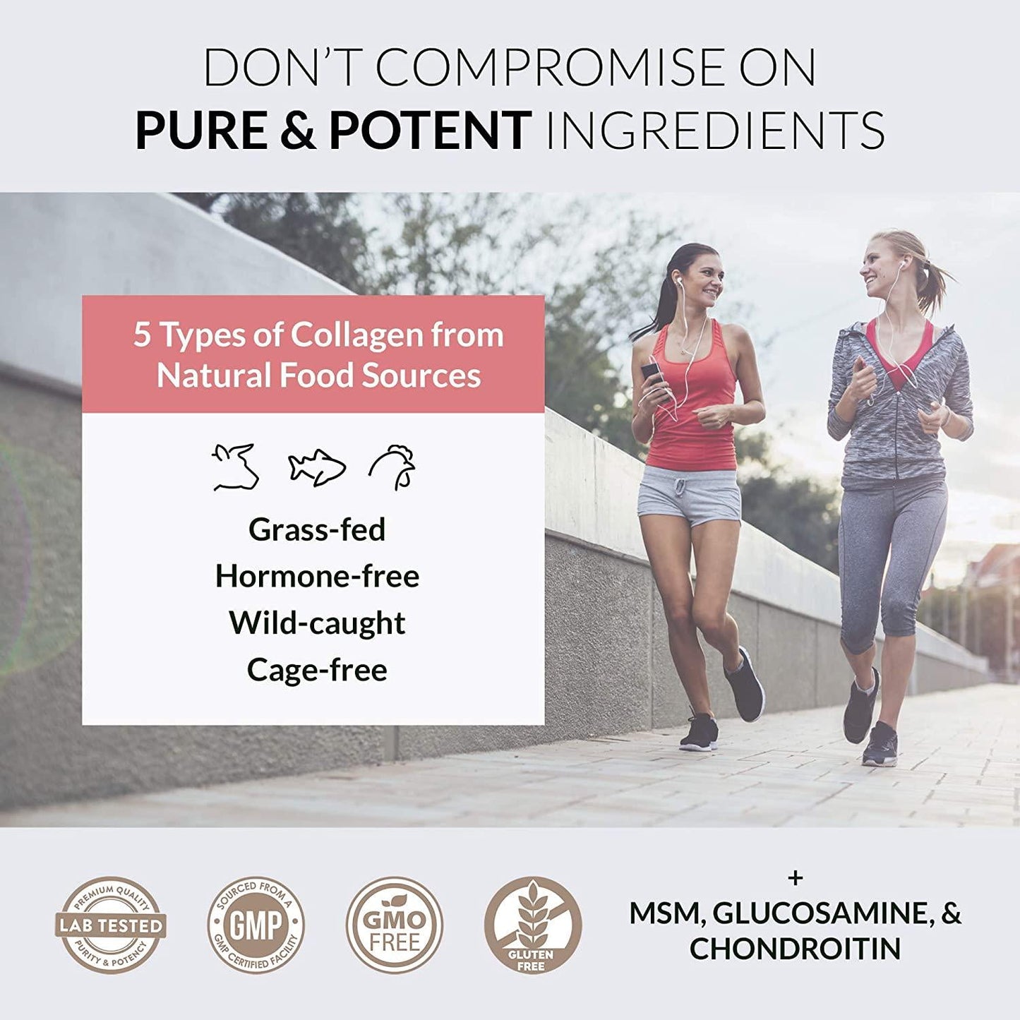 Alaya Multi Collagen Powder - Type I, II, III, V, X Hydrolyzed Collagen Peptides Protein Powder Supplement with MSM + GC (Unflavored)