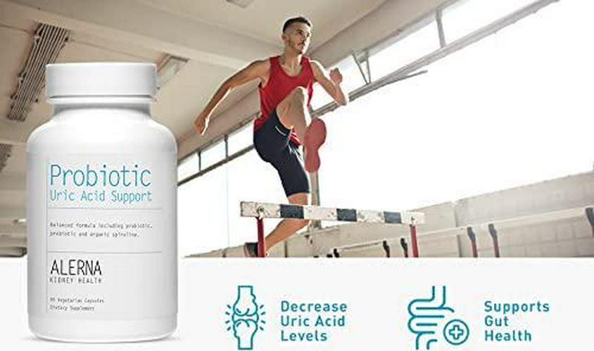 Alerna Kidney Health: Probiotic Uric Acid Support