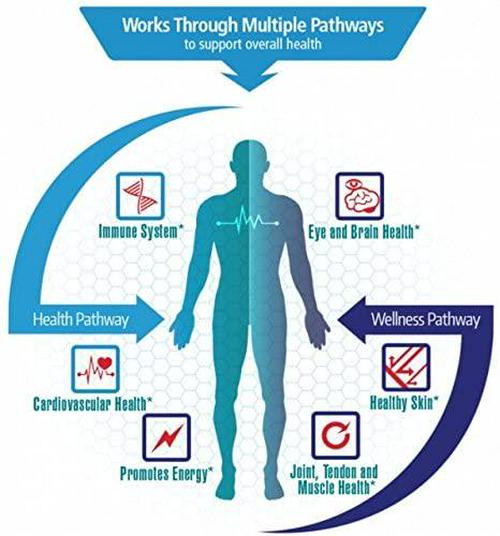 Algalife Astaxanthin Icelandic 12Mg, 30 Count