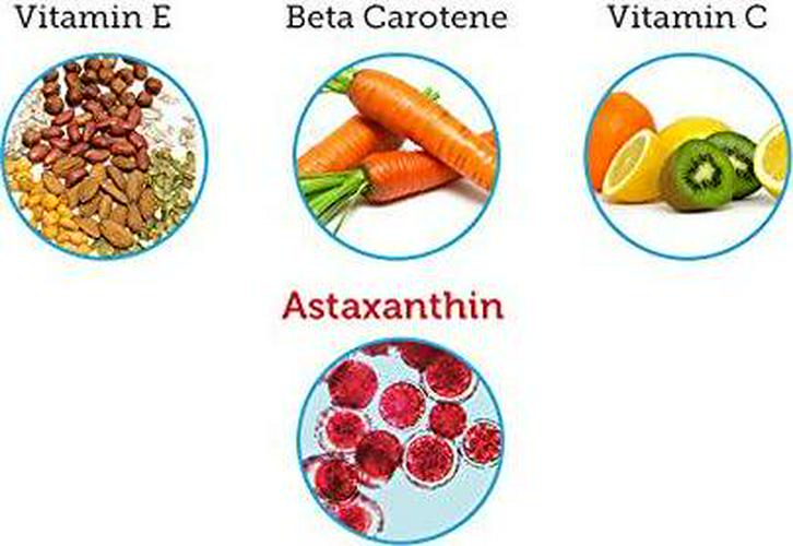 Algalife Astaxanthin Icelandic 12Mg, 30 Count