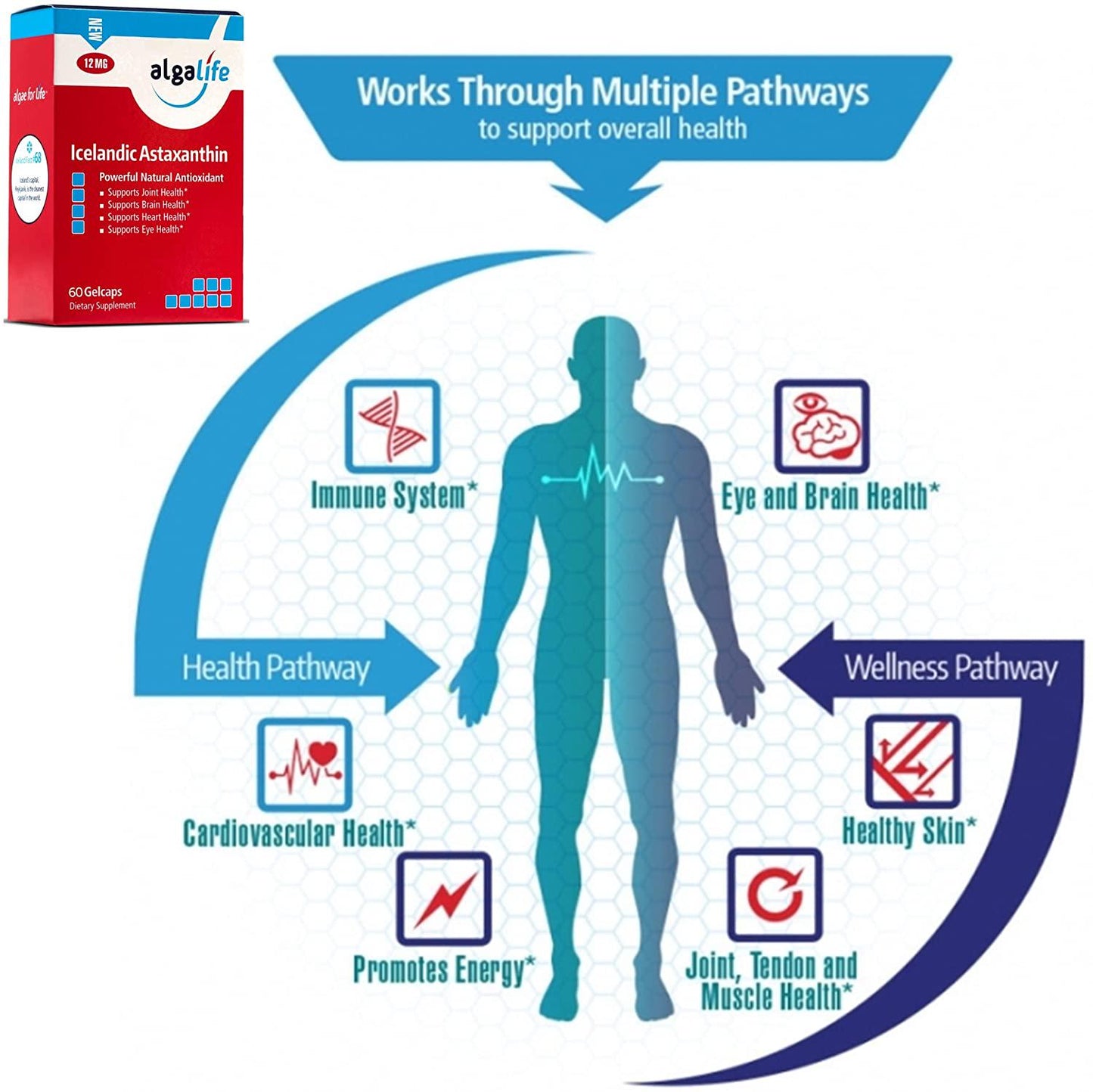 Algalife - Icelandic Astaxanthin 12 mg. - 60 Gelcaps