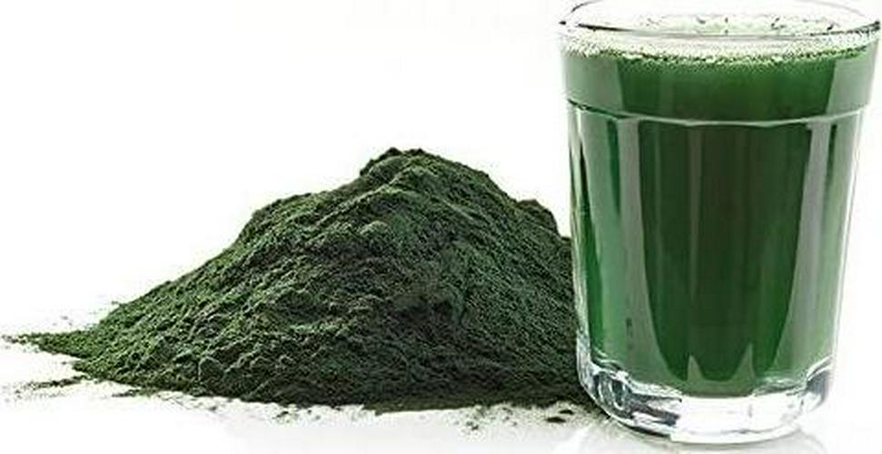 Algas de la Vida- Espirulina Shelo Nabel