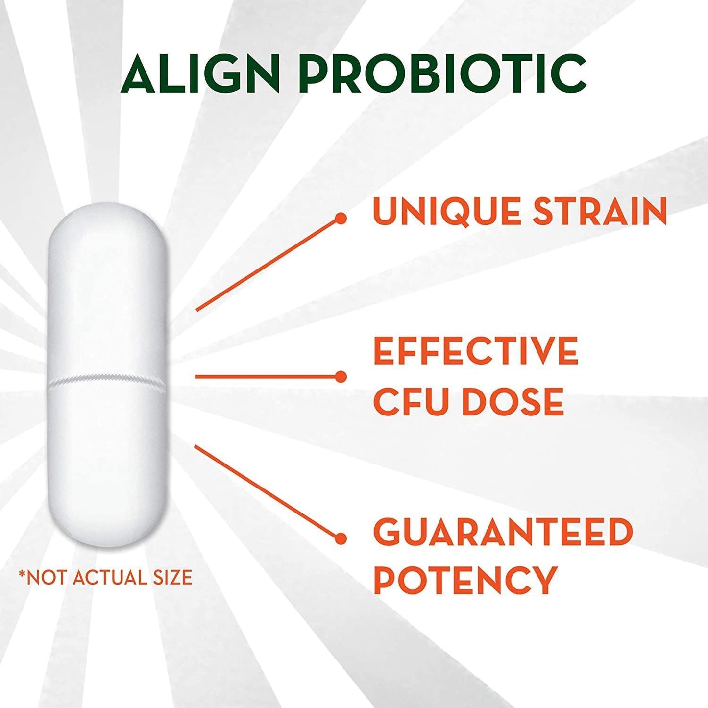 Align Daily Probiotic Supplement, Probiotics Supplement, 28 Capsules