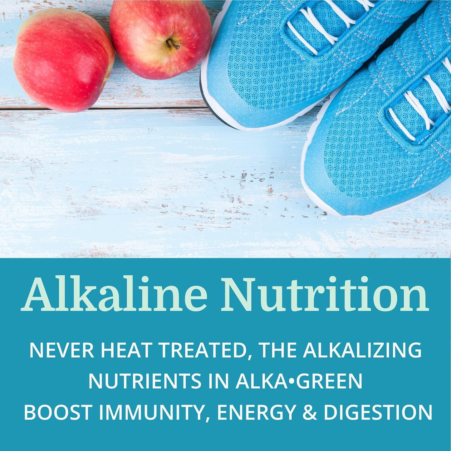 Alka•Green Powder — Morter HealthSystem Best Process Alkaline — Nutrient Dense Organic Barley Grass Supplement — Natural Source of Enzymes and Amino Acids