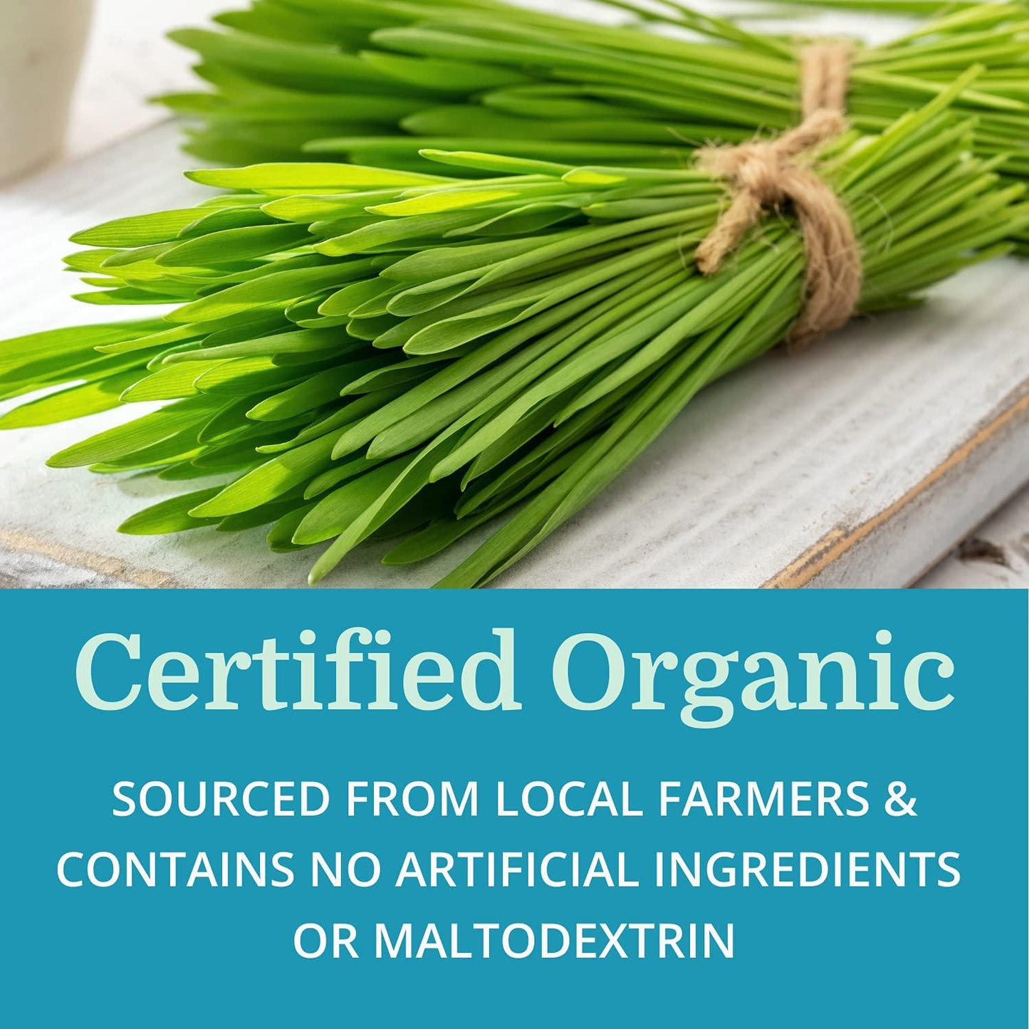 Alka•Green Powder — Morter HealthSystem Best Process Alkaline — Nutrient Dense Organic Barley Grass Supplement — Natural Source of Enzymes and Amino Acids