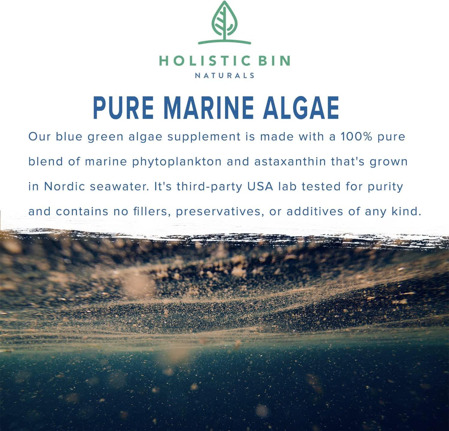 Alkaline Rock Stars Blue Green and Red Algae Supplement - 500mg | Pure Marine Phytoplankton Plus Astaxanthin | Rich in Antioxidants, Chlorophyll, and Vegan Omega 3&#039;s | 30 Day Supply (40 Capsules)