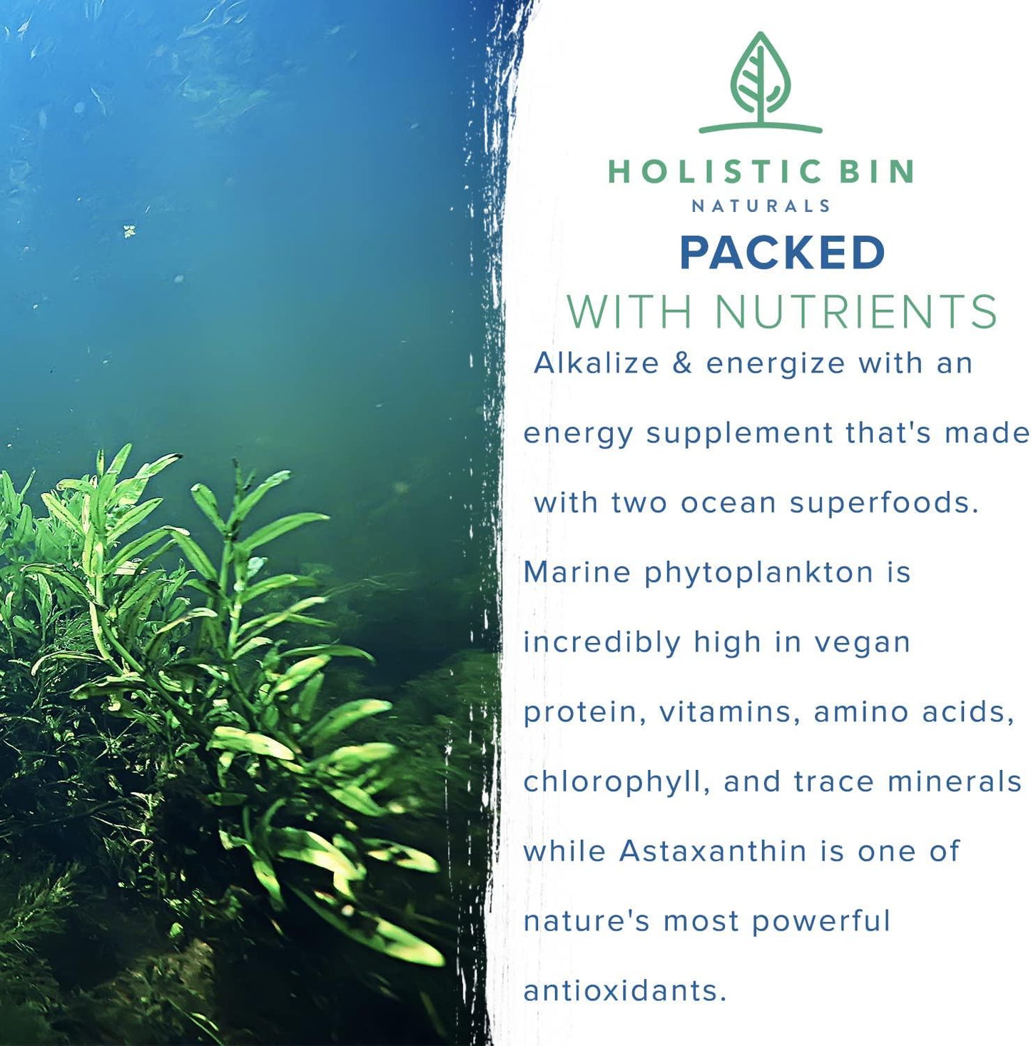 Alkaline Rock Stars Blue Green and Red Algae Supplement - 500mg | Pure Marine Phytoplankton Plus Astaxanthin | Rich in Antioxidants, Chlorophyll, and Vegan Omega 3&#039;s | 30 Day Supply (40 Capsules)