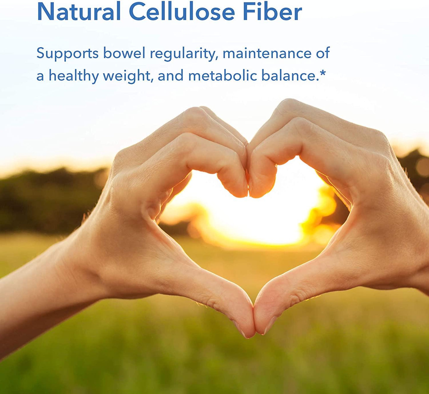 Allergy Research Group - Cellulose Powder - Insoluble Fiber, Colon Health - 250 Grams (8.8 oz)