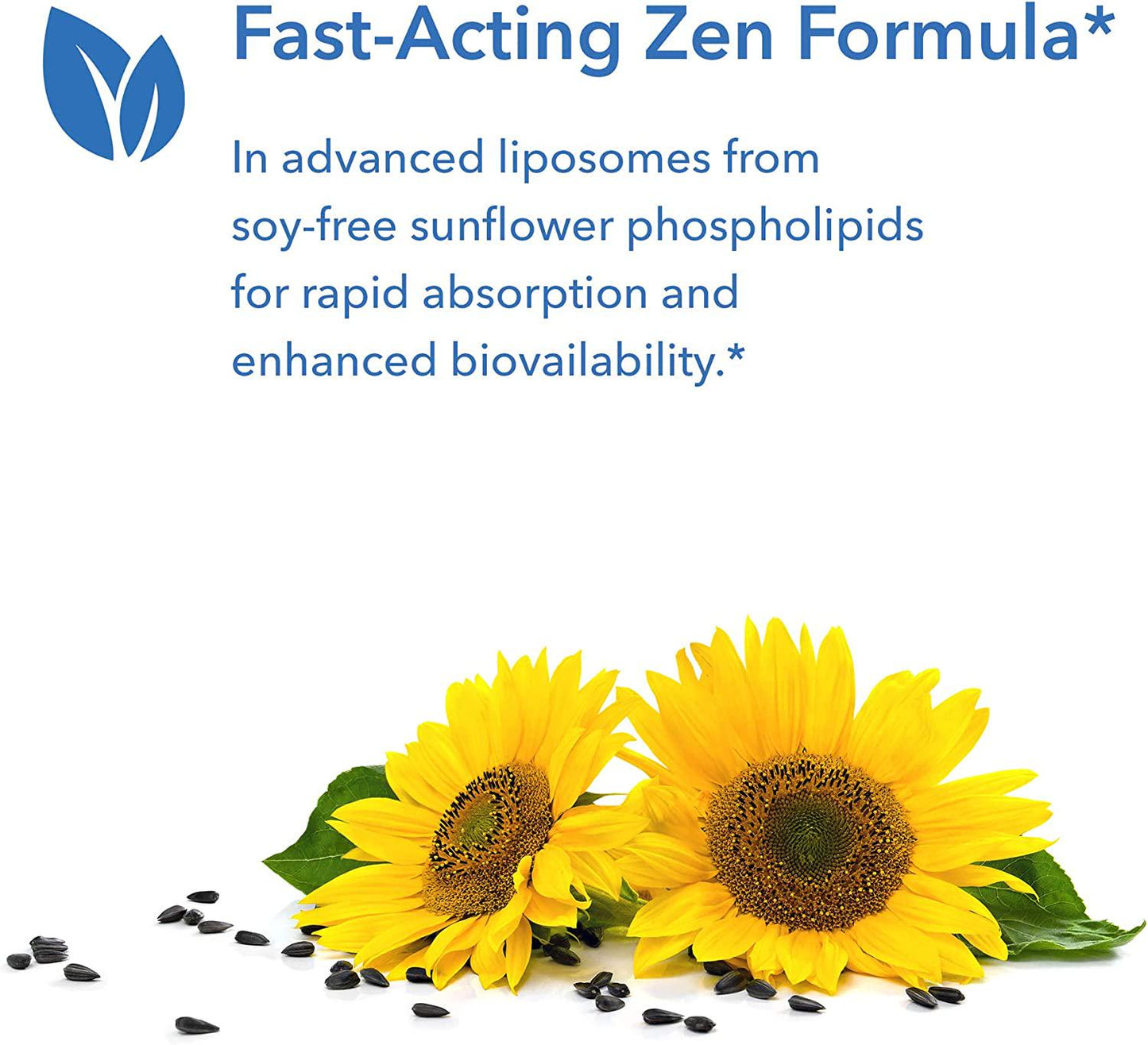 Allergy Research Group - Liposomal Zen - Enhanced Calmness Day or Night - 50 mL (1.7 fl oz)