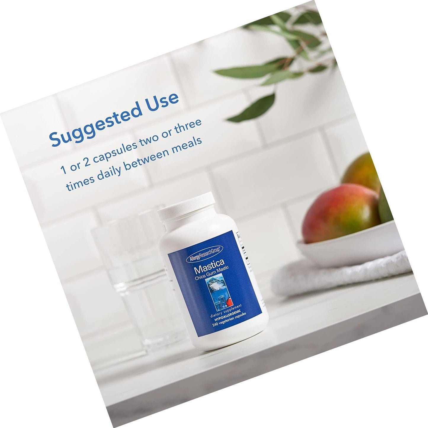 Allergy Research Group Mastica Chios Gum Mastic 240 Vegetarian Capsules