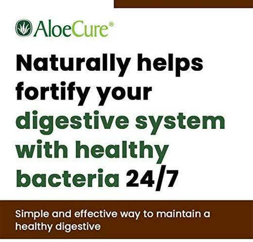 AloeCure Probiotic + Enzyme Capsules with Prebiotics, 2.4 Billion CFU +, Fortify Your Digestive System 24/7, 30 Capsules, 1 Bottle Supply