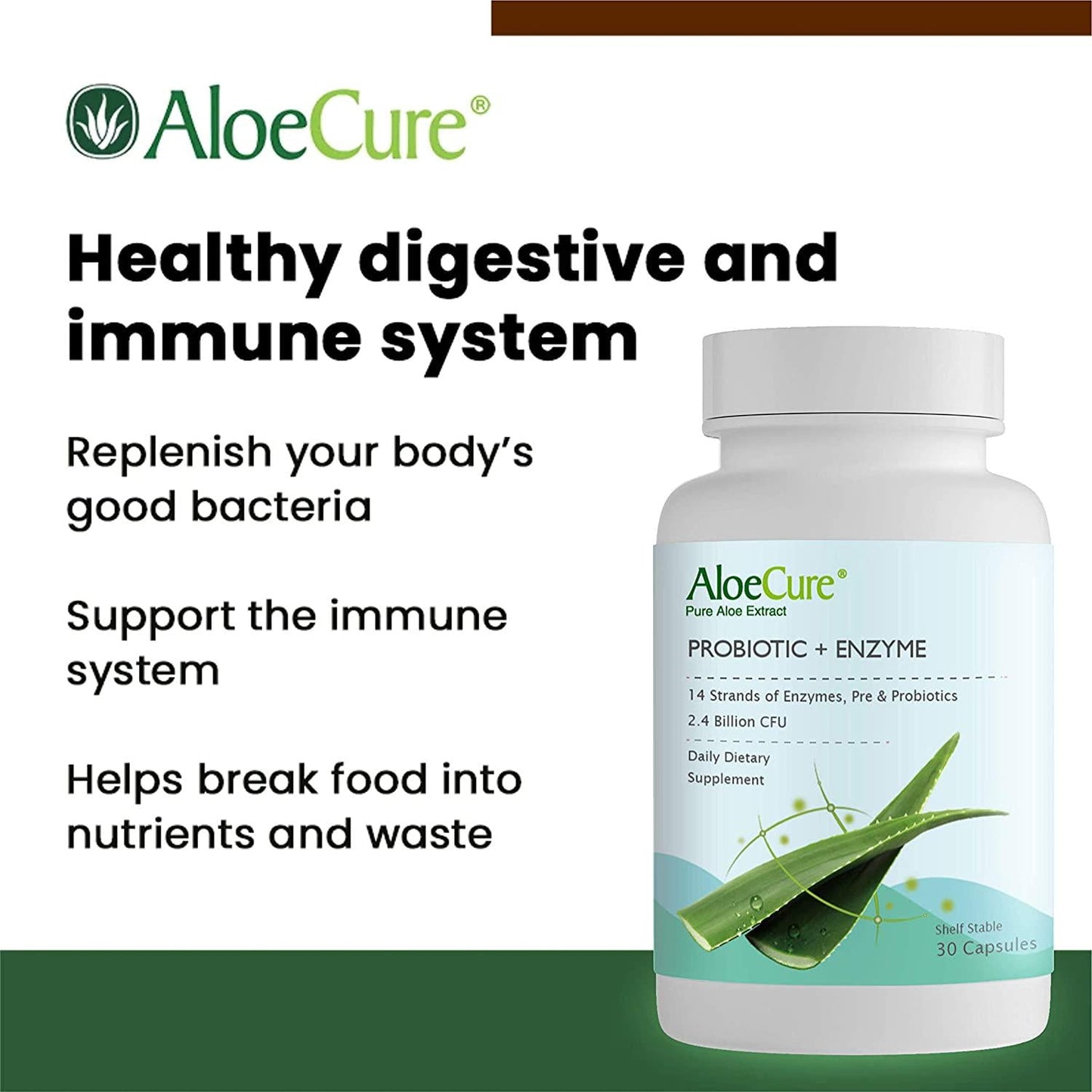 AloeCure Probiotic + Enzyme Capsules with Prebiotics, 2.4 Billion CFU +, Fortify Your Digestive System 24/7, 30 Capsules, 1 Bottle Supply