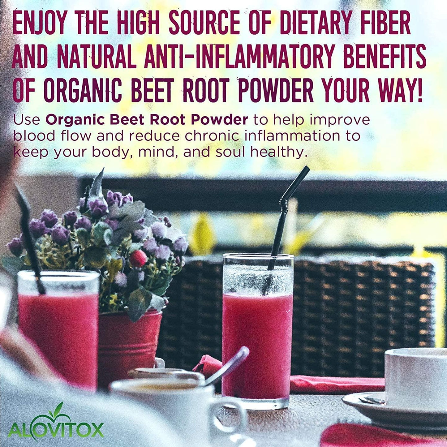 Alovitox Beet Root Powder | 100% Pure, Fresh and USDA Organic Beetroot Extract Powder | Nitric Oxide Superfood | Vegan, Non - GMO and Gluten-Free | Support Energised and Effective Workout Session 16 oz