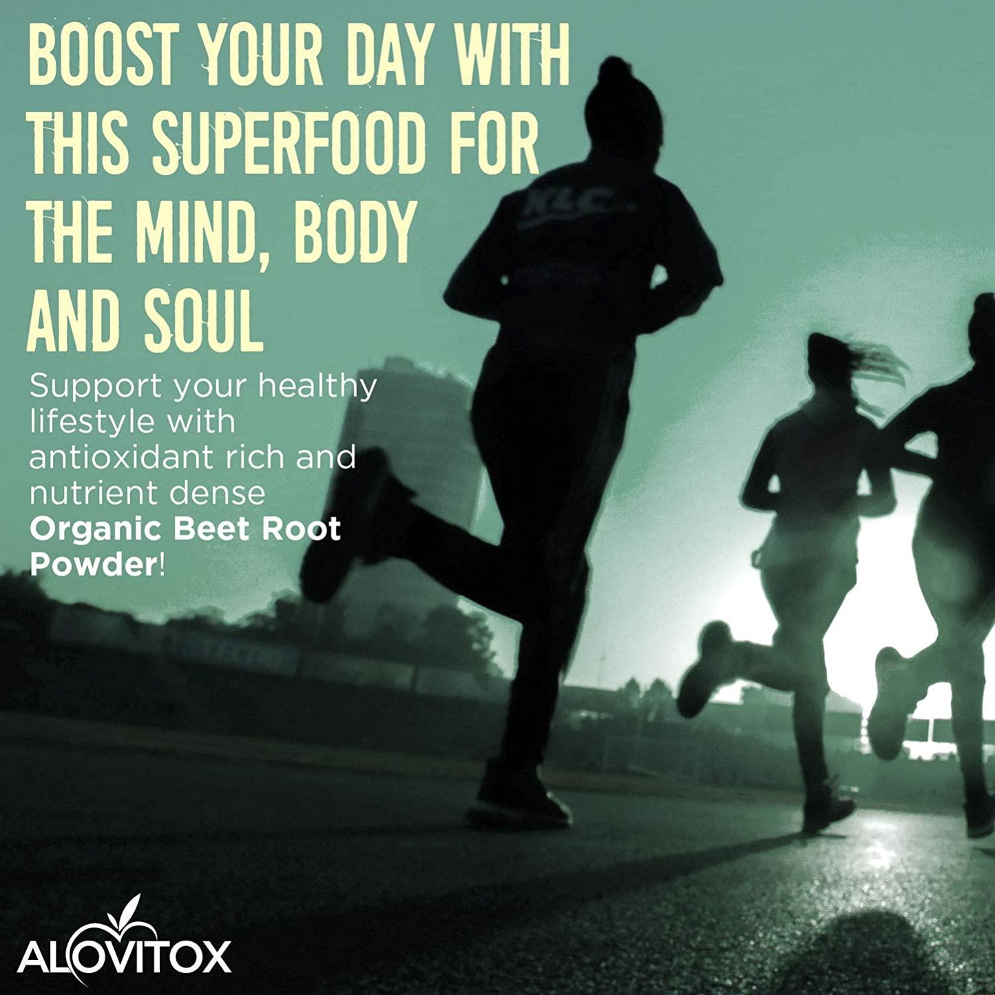 Alovitox Organic Beet Root Powder 16 oz Raw Vegan and Gluten Free (Beet Root Powder, 16 oz)