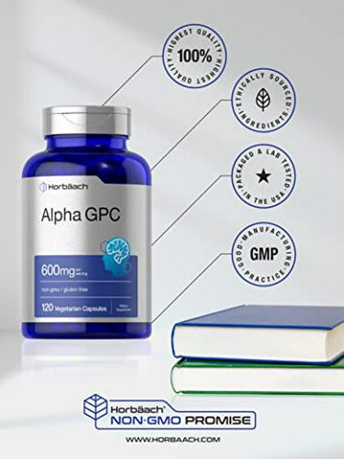 Alpha GPC 600mg | 120 Capsules | Vegetarian, Non-GMO and Gluten Free Choline Supplement | Supports Healthy Memory, Focus and Clarity | by Horbaach