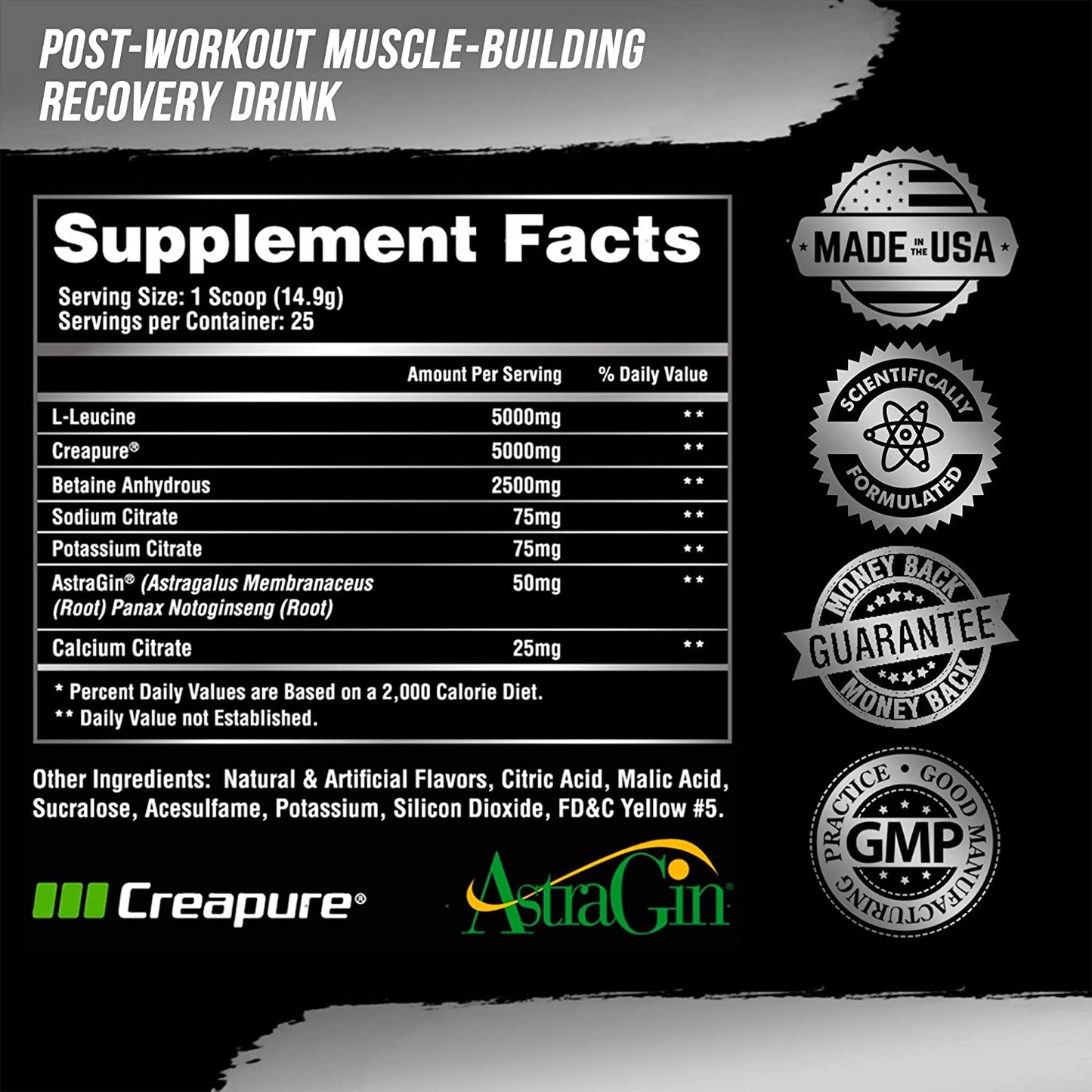 Alpha Lion, Post Workout Recovery, Fast Acting Post Workout for Men and Women (25 Servings, Gainy Smith Apple)