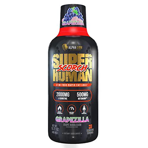 Alpha Lion Superhuman Scorch, Weight Management, MitoBurn and CaloriBurn with Carnitine, Stim-Free, Increase Thermogenesis and Metabolism, Zero Calorie Liquid Shot (31 Servings, Grapezilla)