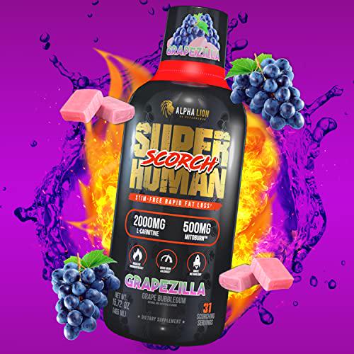 Alpha Lion Superhuman Scorch, Weight Management, MitoBurn and CaloriBurn with Carnitine, Stim-Free, Increase Thermogenesis and Metabolism, Zero Calorie Liquid Shot (31 Servings, Grapezilla)