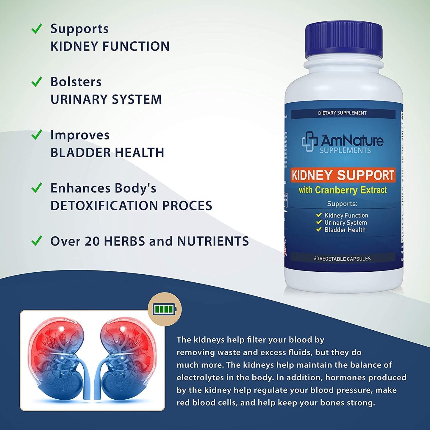 AmNature Kidney Support with Bladder Health and Urinary Tract System, Cranberry Extract Blend 20 Herbs and Nutrients Formula Supports Healthy Kidney, Pack of 60 Vegetable Capsules
