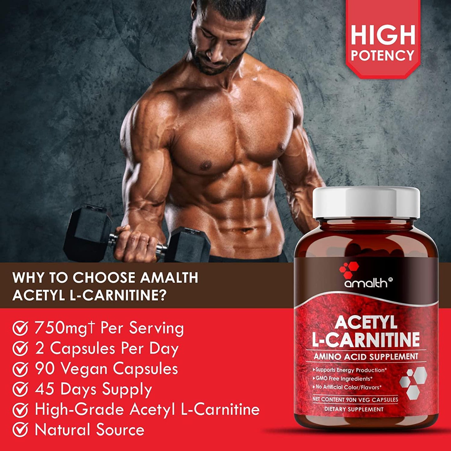 Amalth Acetyl L-Carnitine Capsules 750mg - Energizing Brain Support - Non-GMO, Vegetarian Acetyl L-Carnitine Supplement (90 Capsules)