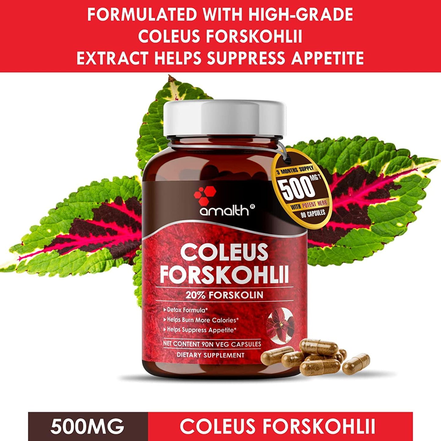 Amalth Premium 100% Ultra Pure Forskolin 500mg Max Strength w/ 20% Standardized Coleus Forskohlii Root Extract Powder Support Nourishing Diet Coleus Forskohlii-Belly Buster Supplement