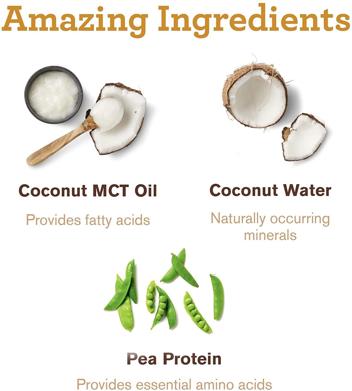 Amazing Grass Amazing Protein Creamer, Plant-Based Protein with Coconut MCT Oil, Dark Chocolate, 12 Servings