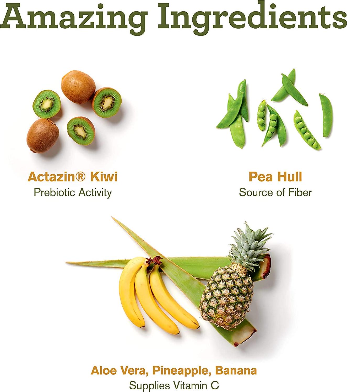 Amazing Grass DIGEST Vegan Protein Powder, Plant Based with Probiotics + Fiber to Manage Bloat, Unflavored, 15 Servings