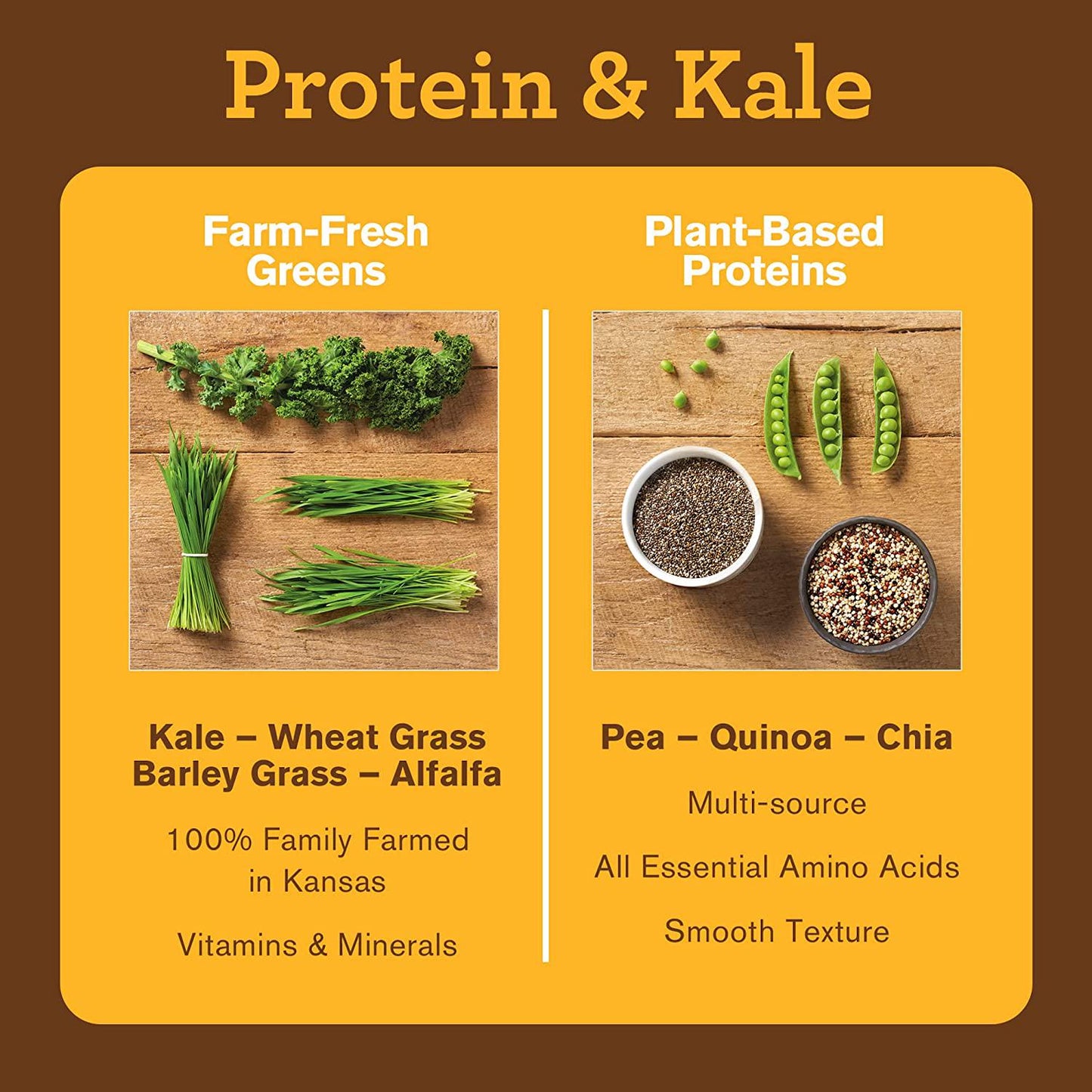 Amazing Grass Vegan Protein and Kale Powder: 20g of Organic Protein + 1 Cup Leafy Greens per Serving, Chocolate, 15 Servings