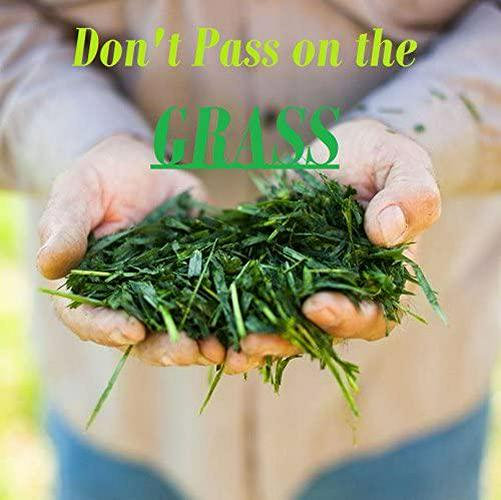 Amazing Grass - Wheat Grass 1000 mg. - 200 Tablets