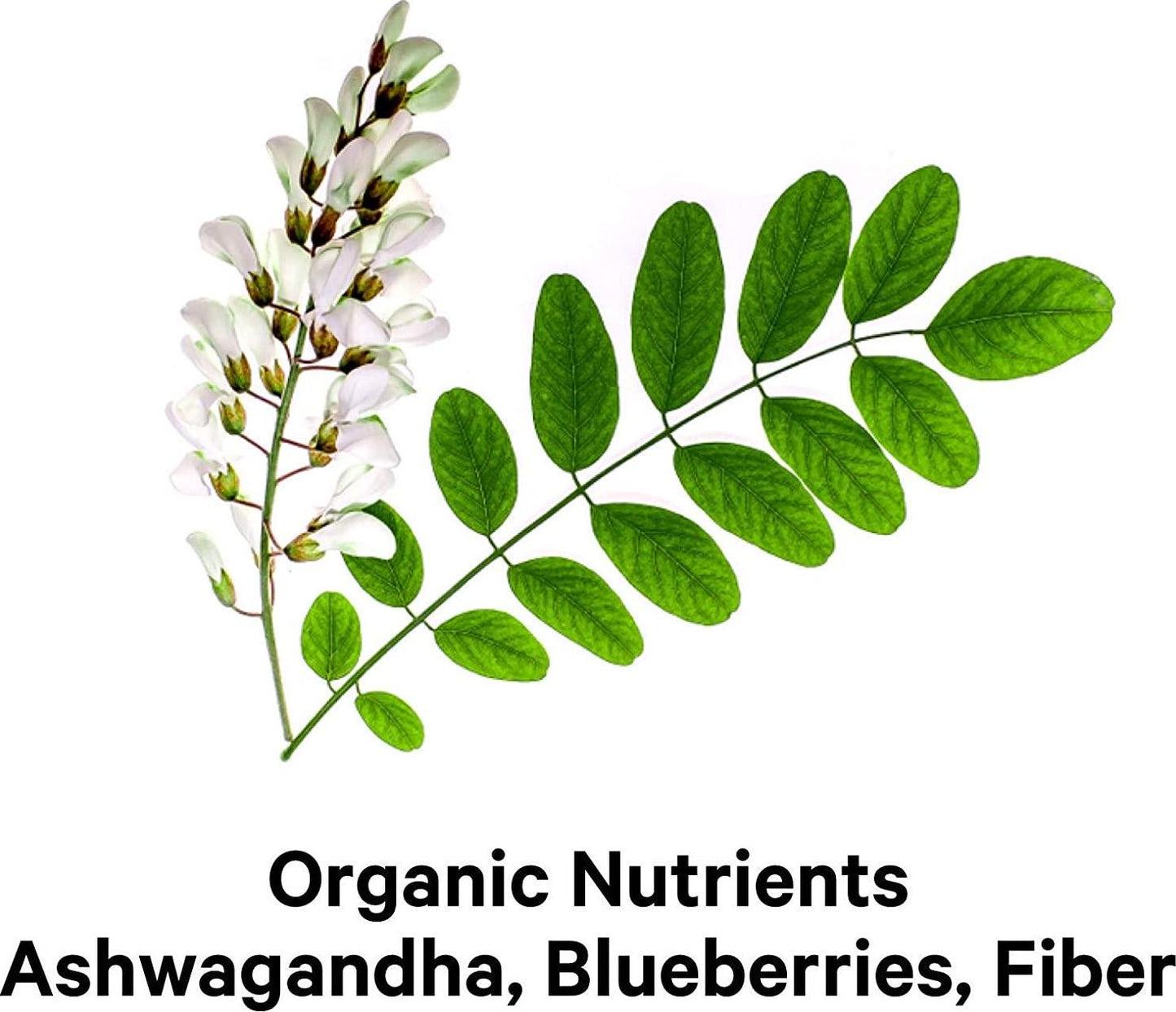 Amen Mood Probiotics + 51 Billion CFU - Mood Digestive and Immune Support - Acidophilus Probiotic Supplement - Promotes Emotional Health, Relaxation, Digestive Balance, Gluten Free - 60 Veggie Capsules