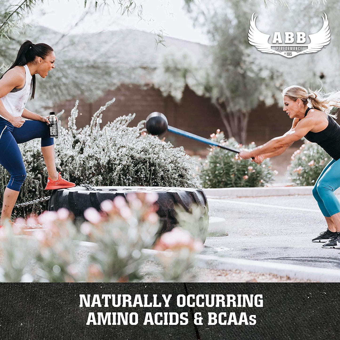 American Body Building (ABB) Pure Pro 50, Post-Workout Recovery Protein Shake, Muscle Builder, HI-Protein, Low Fat, Low Sugar, Vanilla Flavored, Ready to Drink 15 oz Bottles, 12 Count