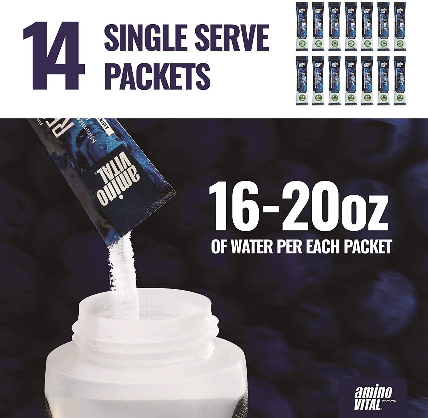 Amino VITAL Rapid Recovery - Fermented Vegan BCAAs Amino Acid Powder + Complex Carbohydrates | BCAA, Glutamine and Arginine in Single Serve Packets | Reduce Muscle Soreness | 14 Servings, Blueberry