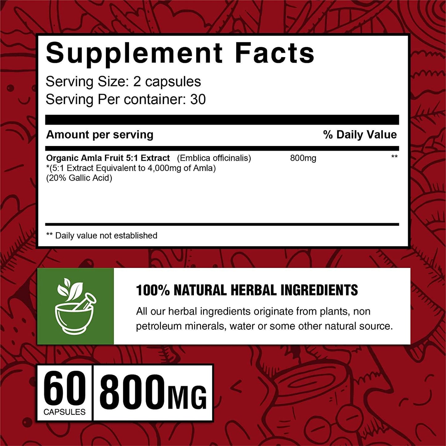 Amla Gooseberry 4,000mg Extract - Vitamin C, Antioxidants To Support Immunity, Well-being and Energy