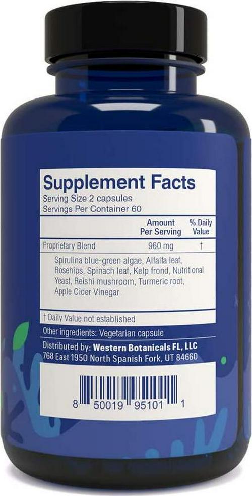 Amply Blends | Daily Fix | Herbal Supplement | Nutritional Support Capsules | 120-Count