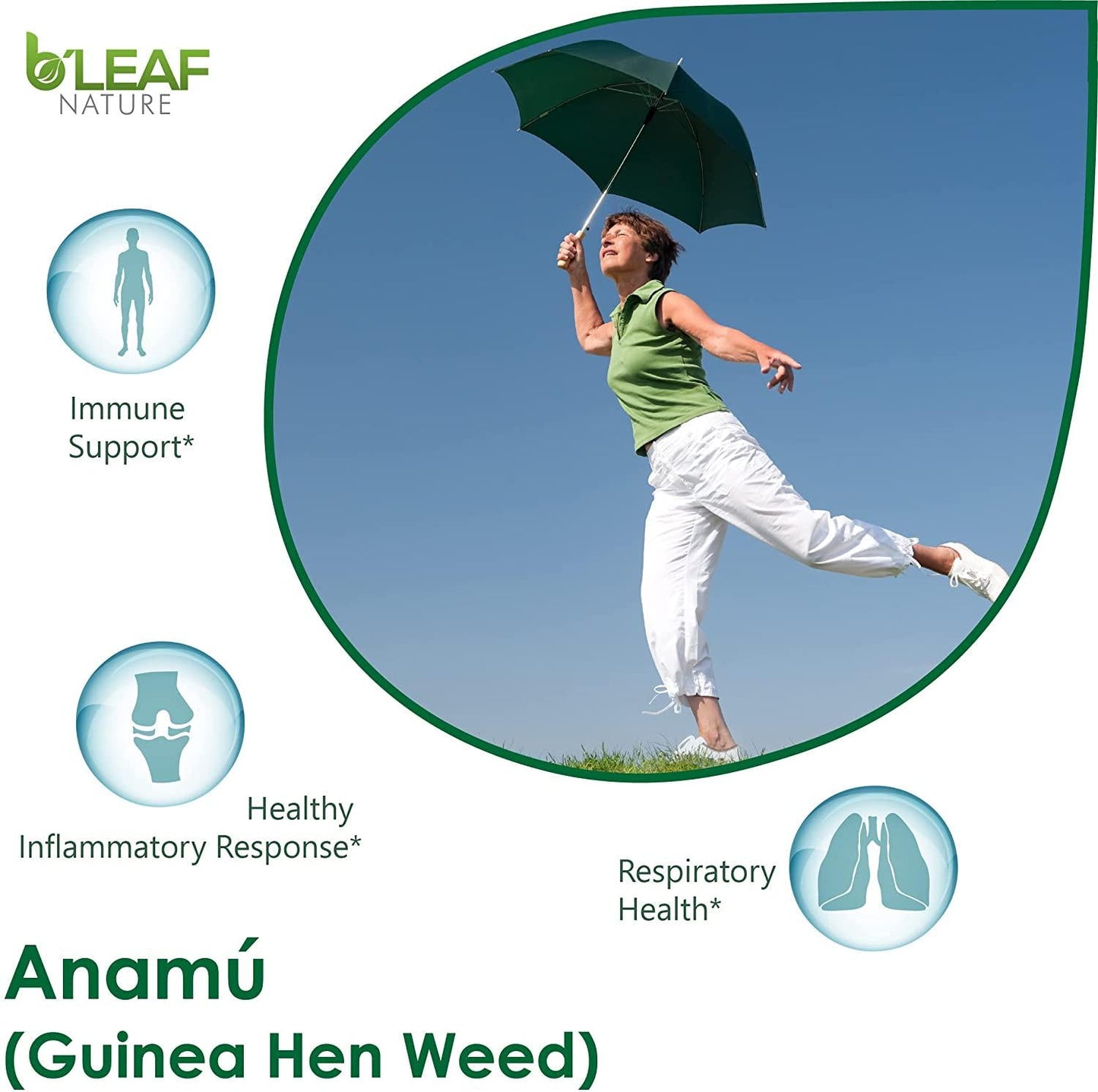 Anamu Capsules – Guinea Hen Weed - Immune Support – Joint Support – Respiratory Support - 1000mg per Serving (Petiveria Alliacea) - 100 Vegetarian Capsules by B’Leaf Nature