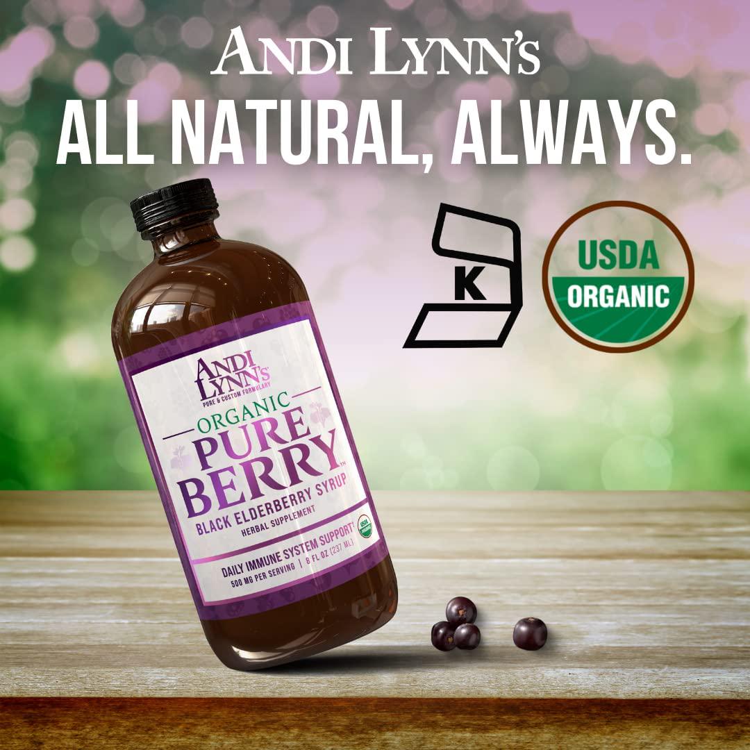 Andi Lynn's 500mg Pure Elderberry Syrup, 8 FZ