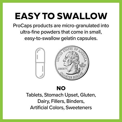Andrew Lessman Vitamin C 500 Plus B-Complex 360 Capsules Non-Acidic Vitamin C Plus Citrus Bioflavonoids for Immune System and Anti-Oxidant Support. Easy-to-Swallow Capsules. No Additives