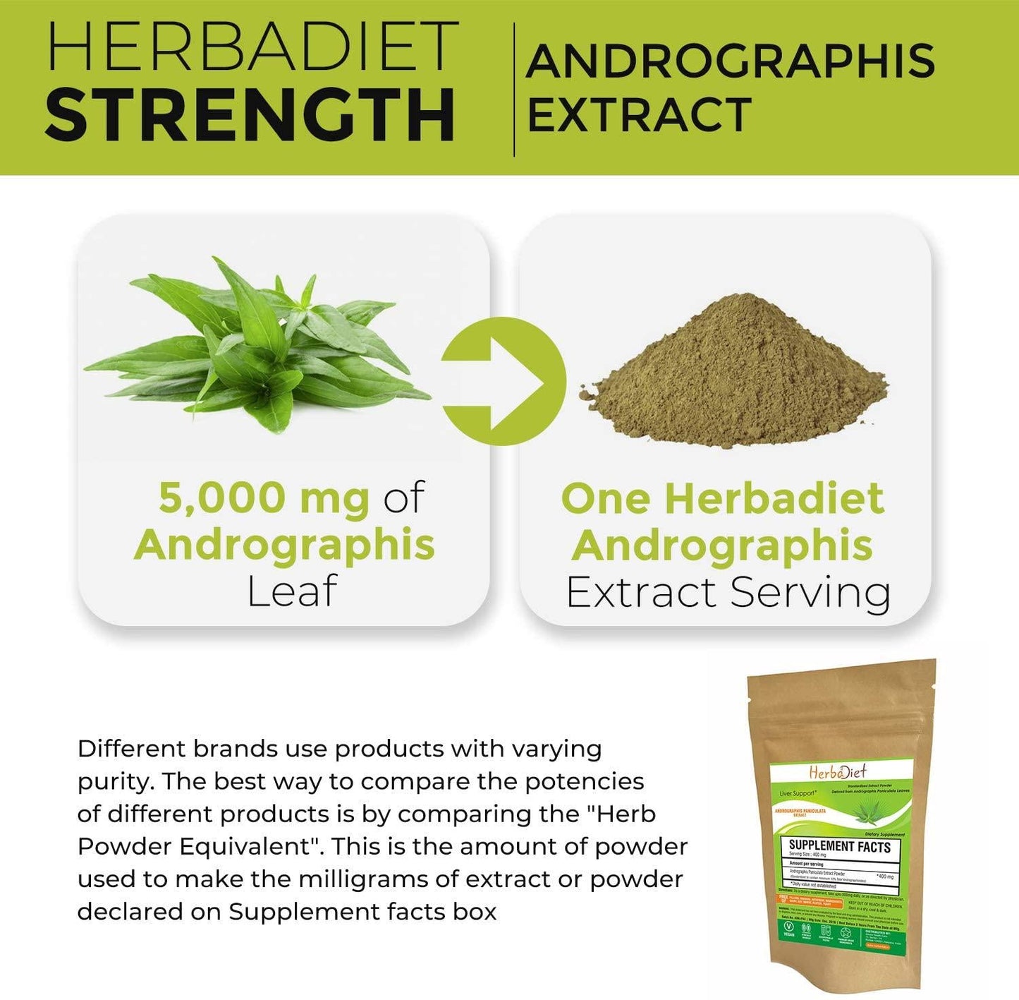 Andrographis Paniculata Extract Powder 10% Andrographolides No Additives 100% Pure King of Bitters (100 gram)