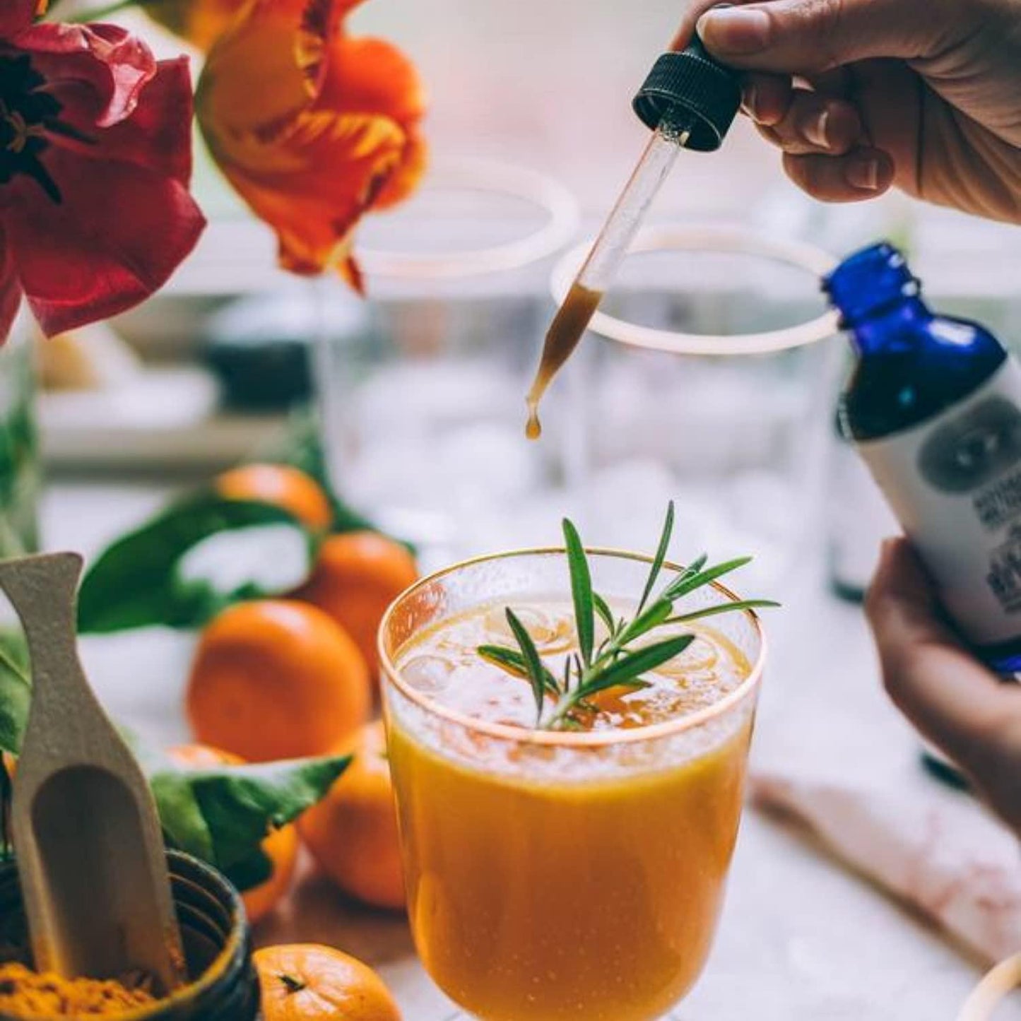 Anima Mundi Fat Belly Tonic - Liver Detox Support Tonic - Liquid Herbal Liver and Gut Detox Tincture with Garcinia, Green Coffee + Turmeric (2oz / 60ml)